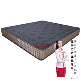 冠军两用01（全国统一价：2940）
